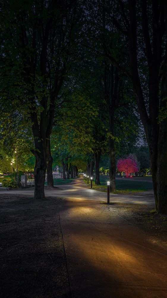 Photograph by Алексей