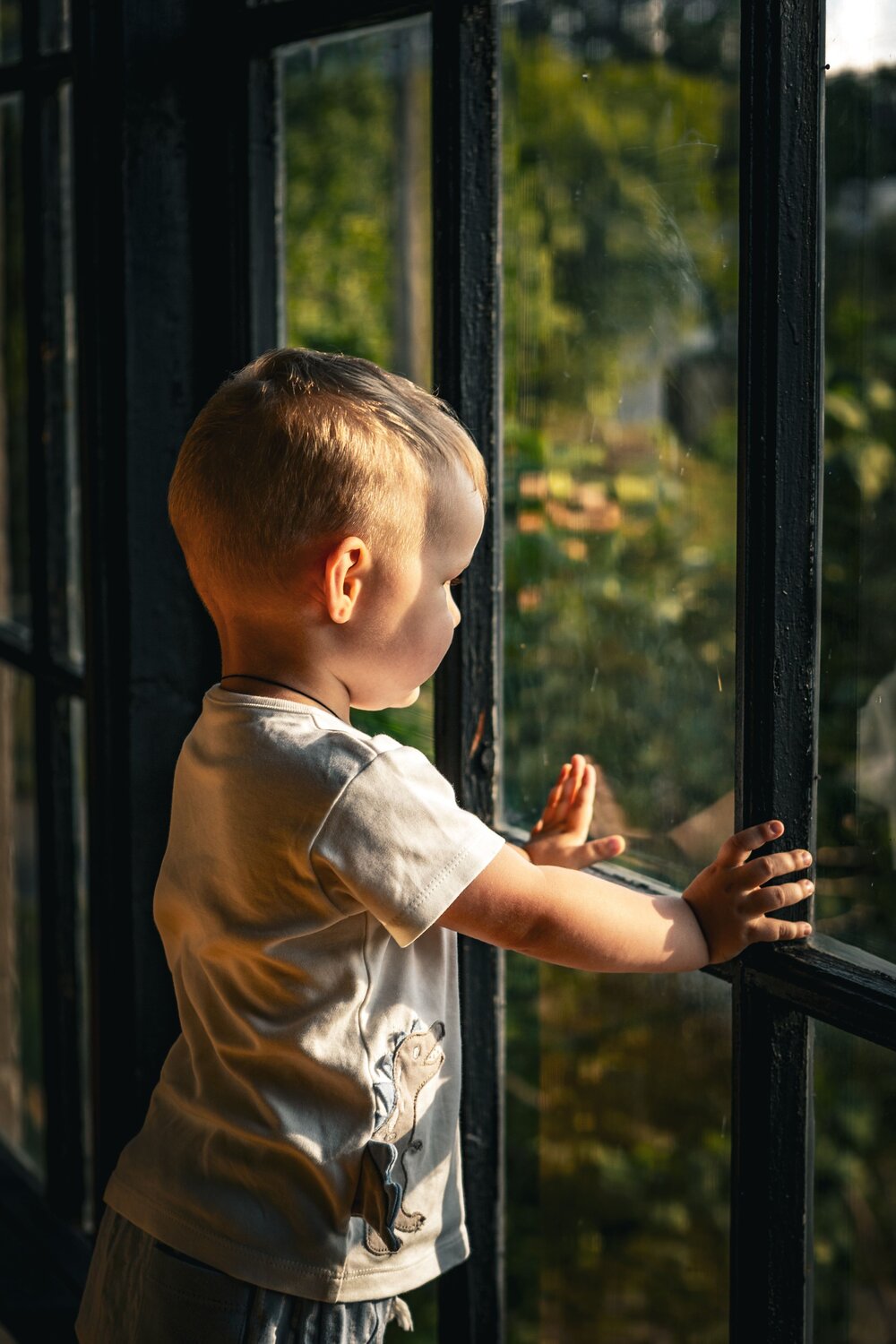 Photo #13391564