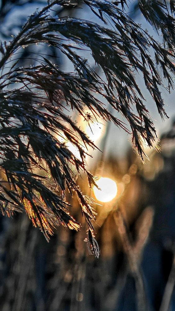 Photograph by Инна Мухина