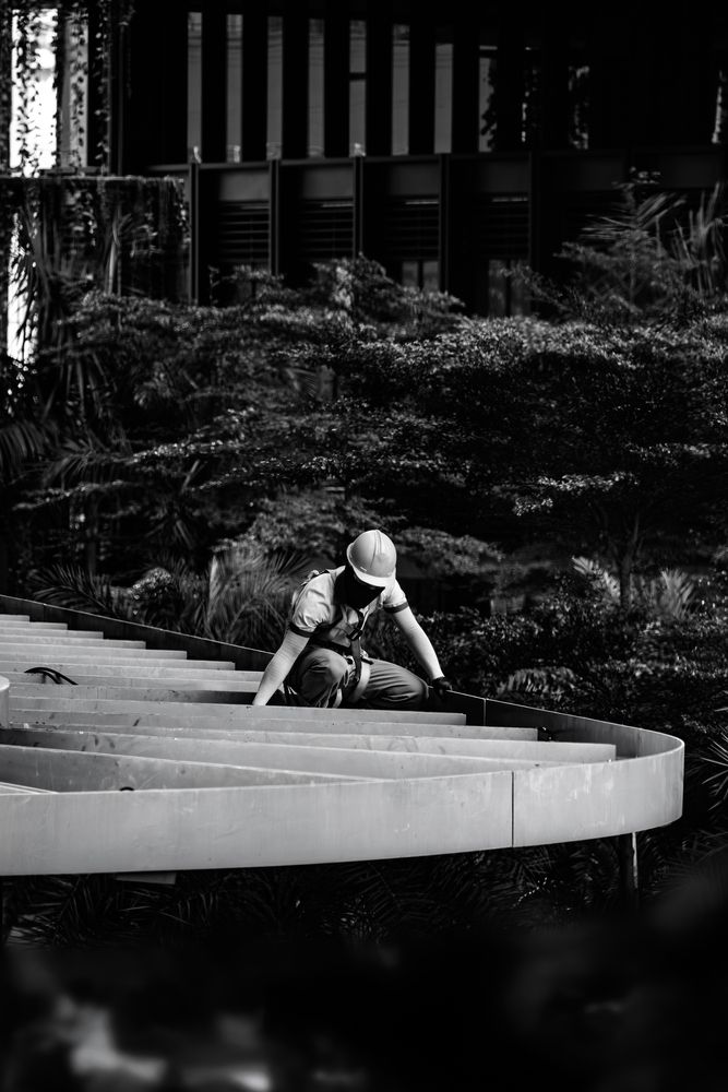 Photograph by Tran Thanh Dat 🇻🇳