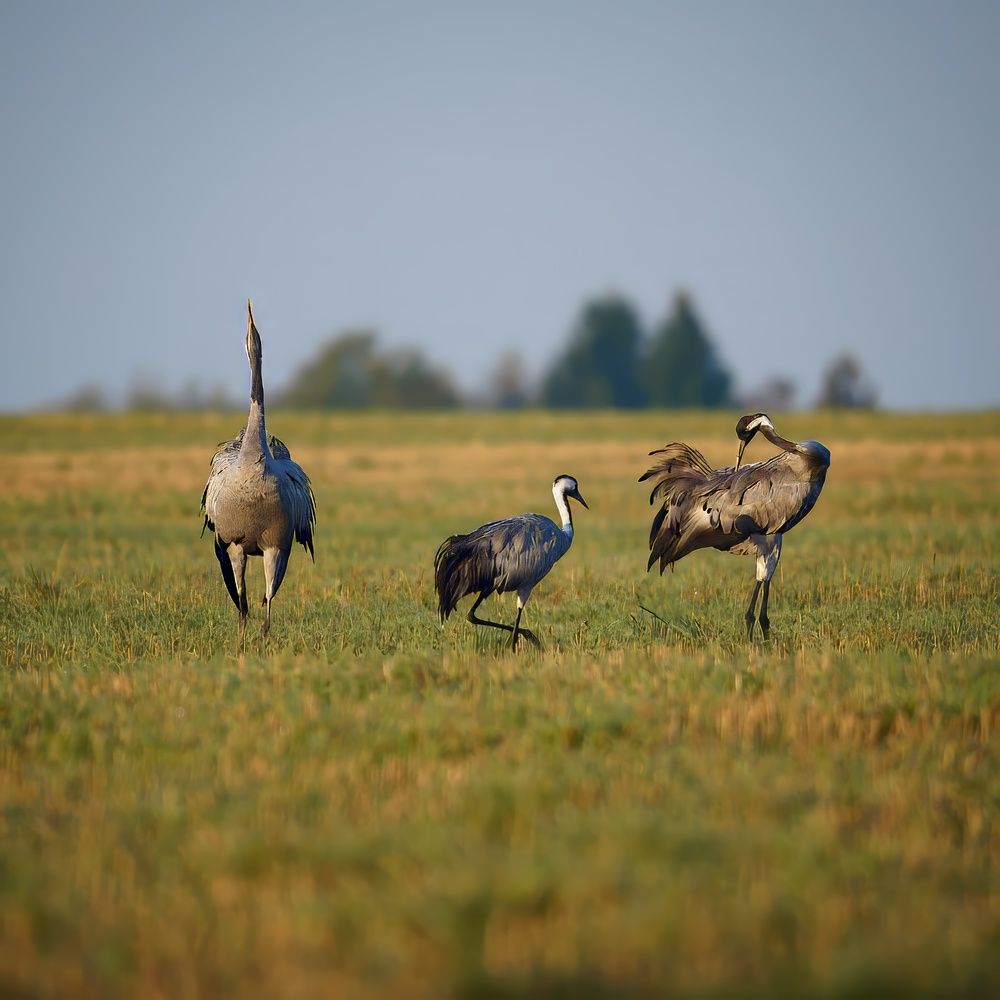 Photograph by Александр Велин