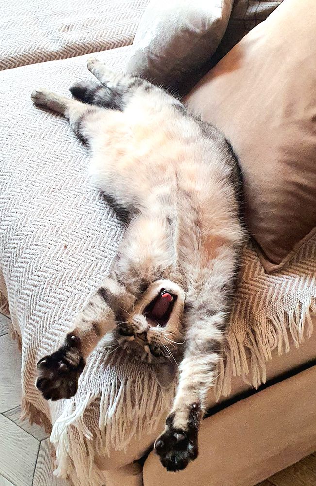 Photograph by Елена Павелко