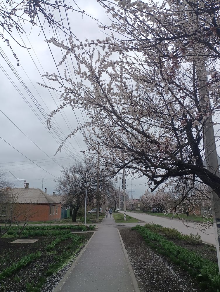 Весенний день