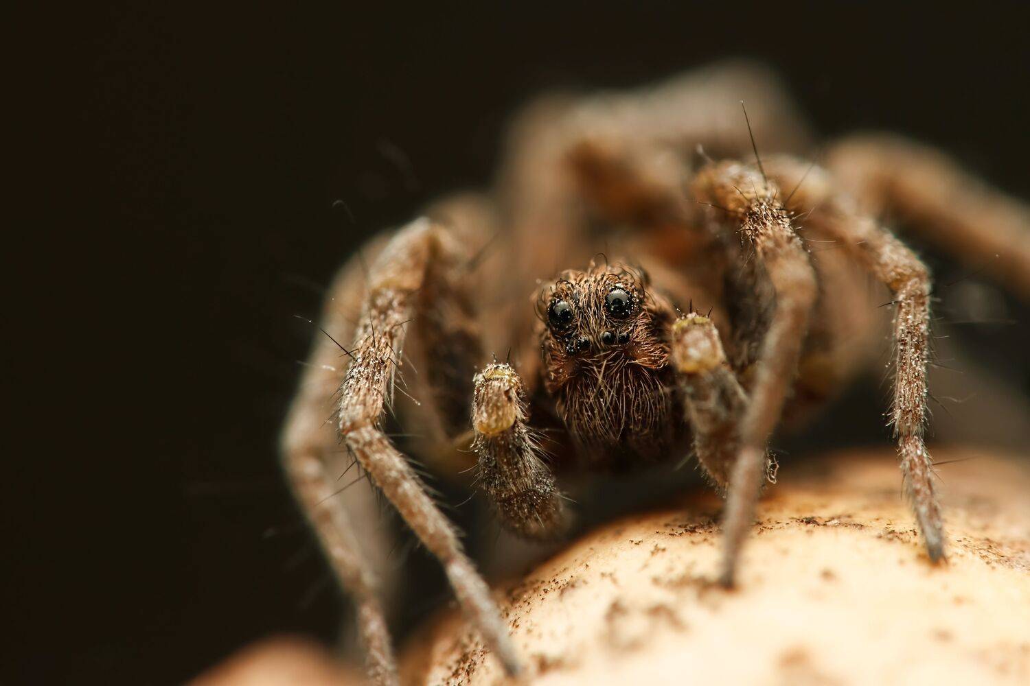 Фотография #13391748