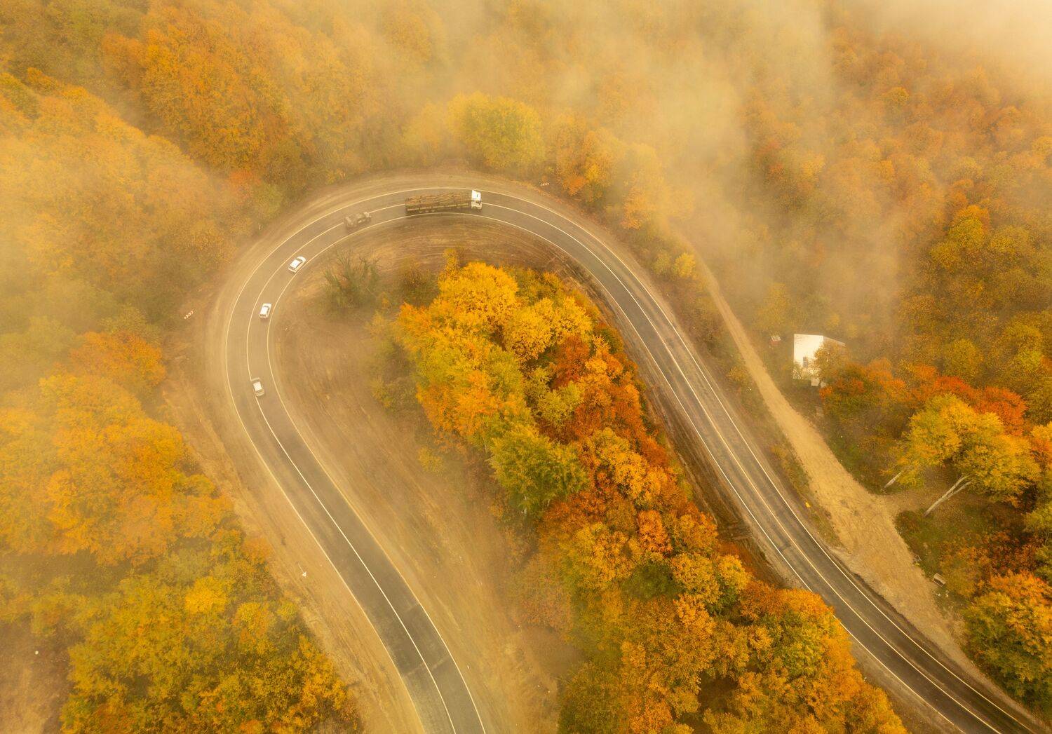 Фотография #13391816