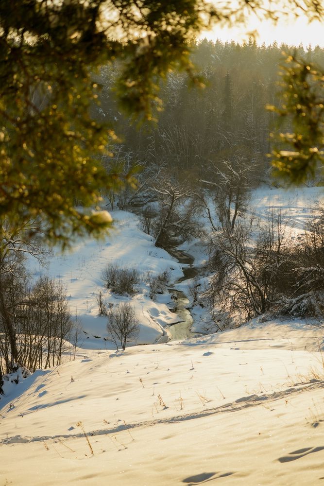 Photograph by Кристина Ивлева