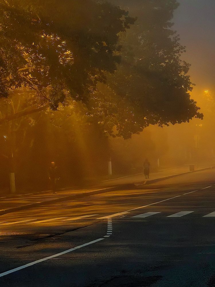 Фотография автора Екатерина Парецкая