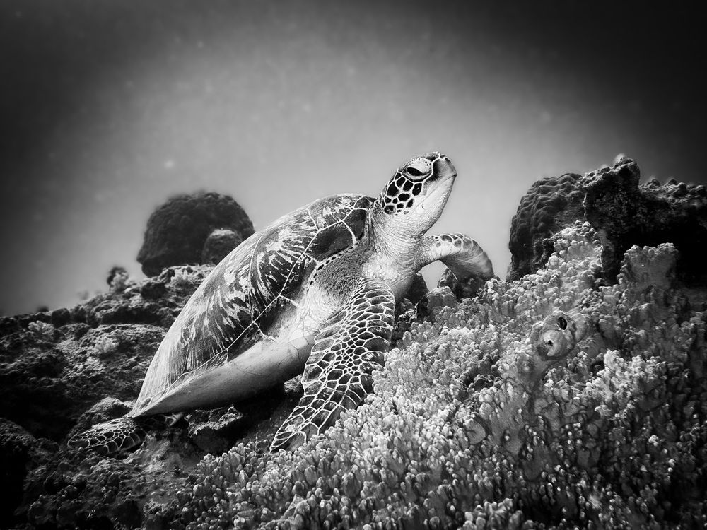 Photograph by Plakida Alexander