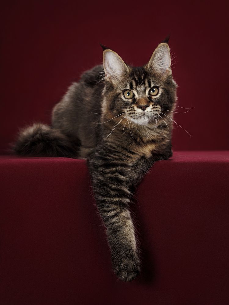 Photograph by Ирина Левакова