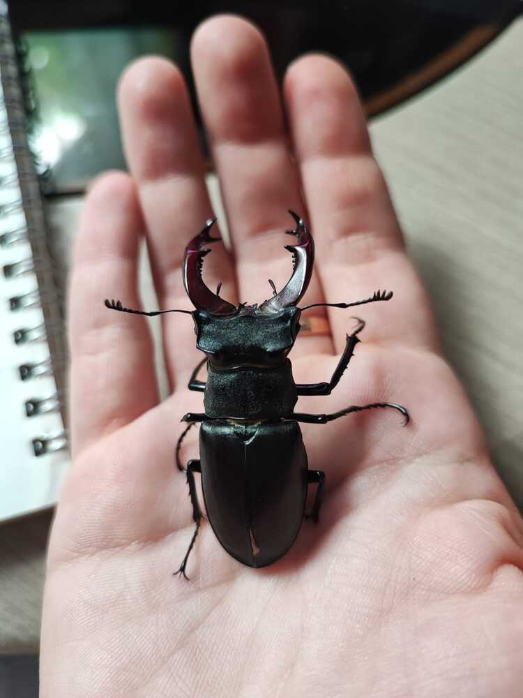 Photograph by Анна Курбатова