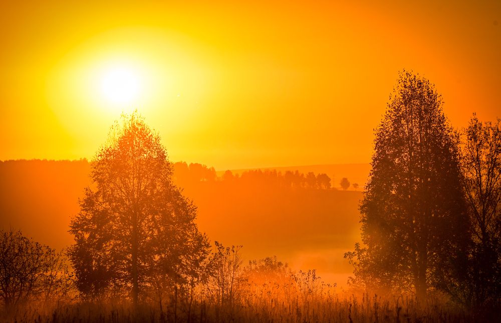 Photograph by Виталий Гавронский