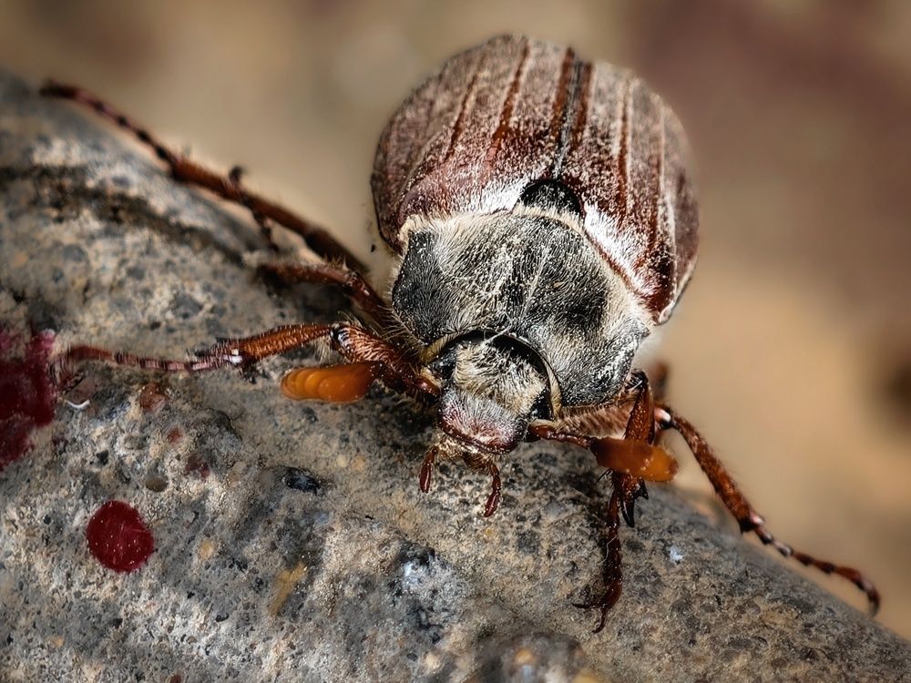 Photograph by Татьяна Соколовская