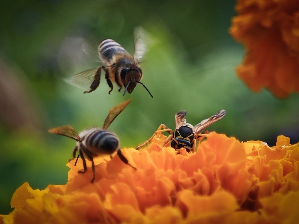 Photograph by Татьяна Соколовская