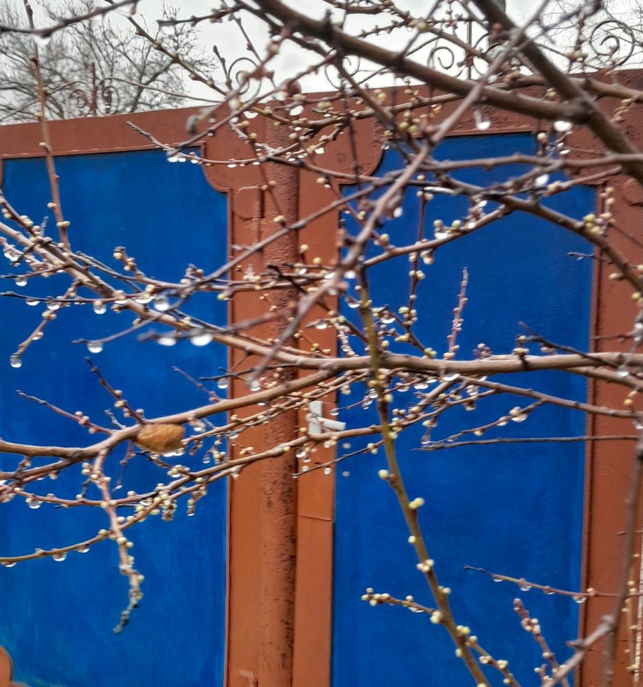 Фотография автора Татьяна Ситникова