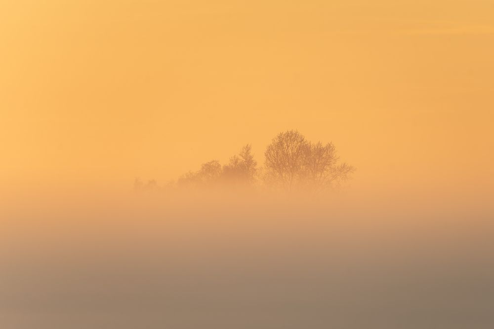 Photograph by Дубровская Екатерина