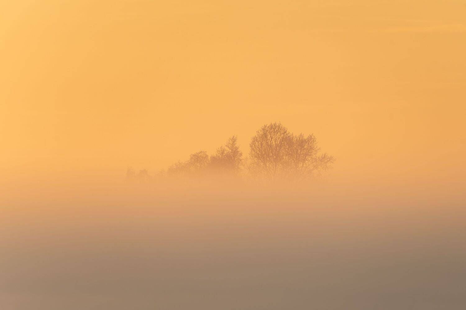 Фотография #13392126