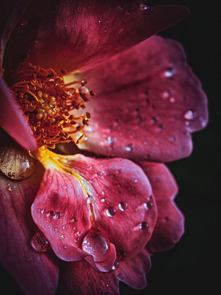 Photograph by Татьяна Соколовская