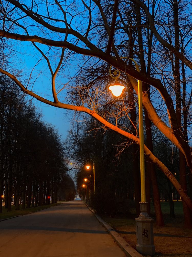 Moscow State University