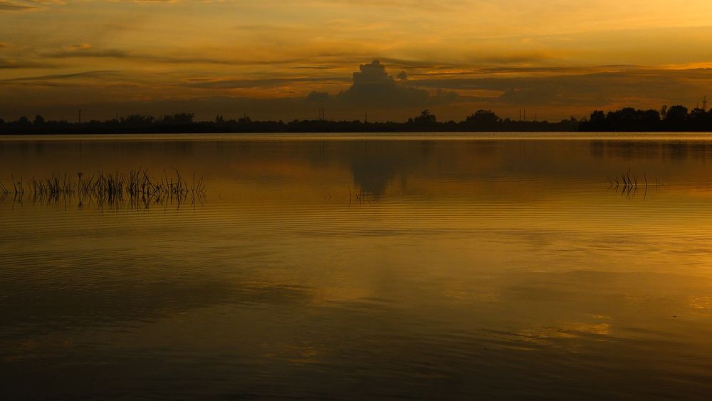 Photograph by Яна Истоцкая