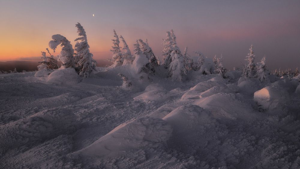 Морозное утро
