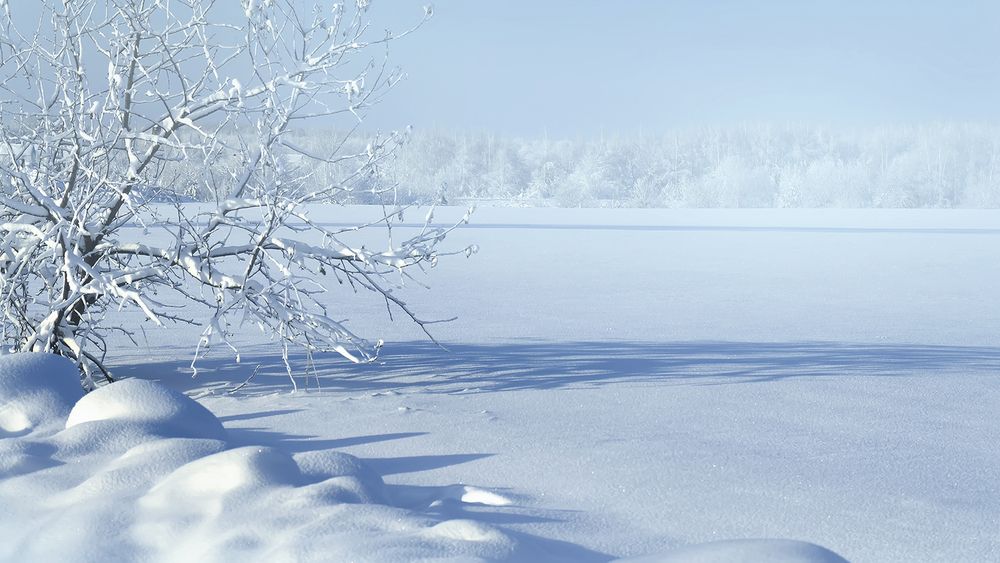 Photograph by Алексей Парамонов