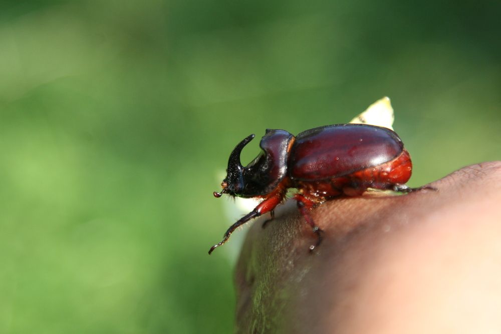 Photograph by Станислав Заречанский