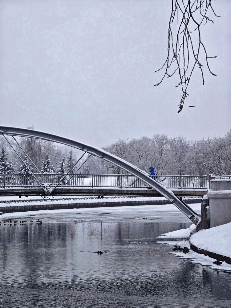 Фотография автора Татьяна Соколовская