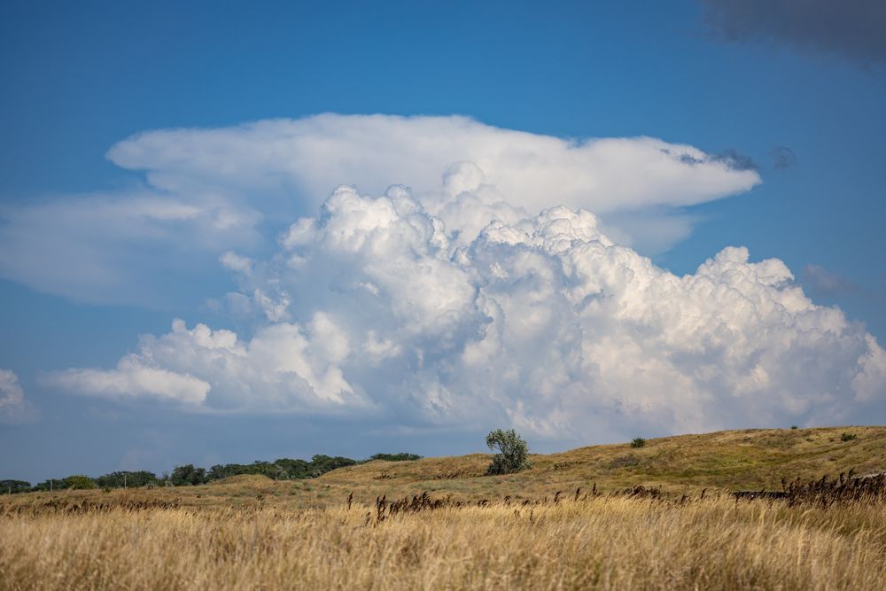 Photograph by Алексей Шматков