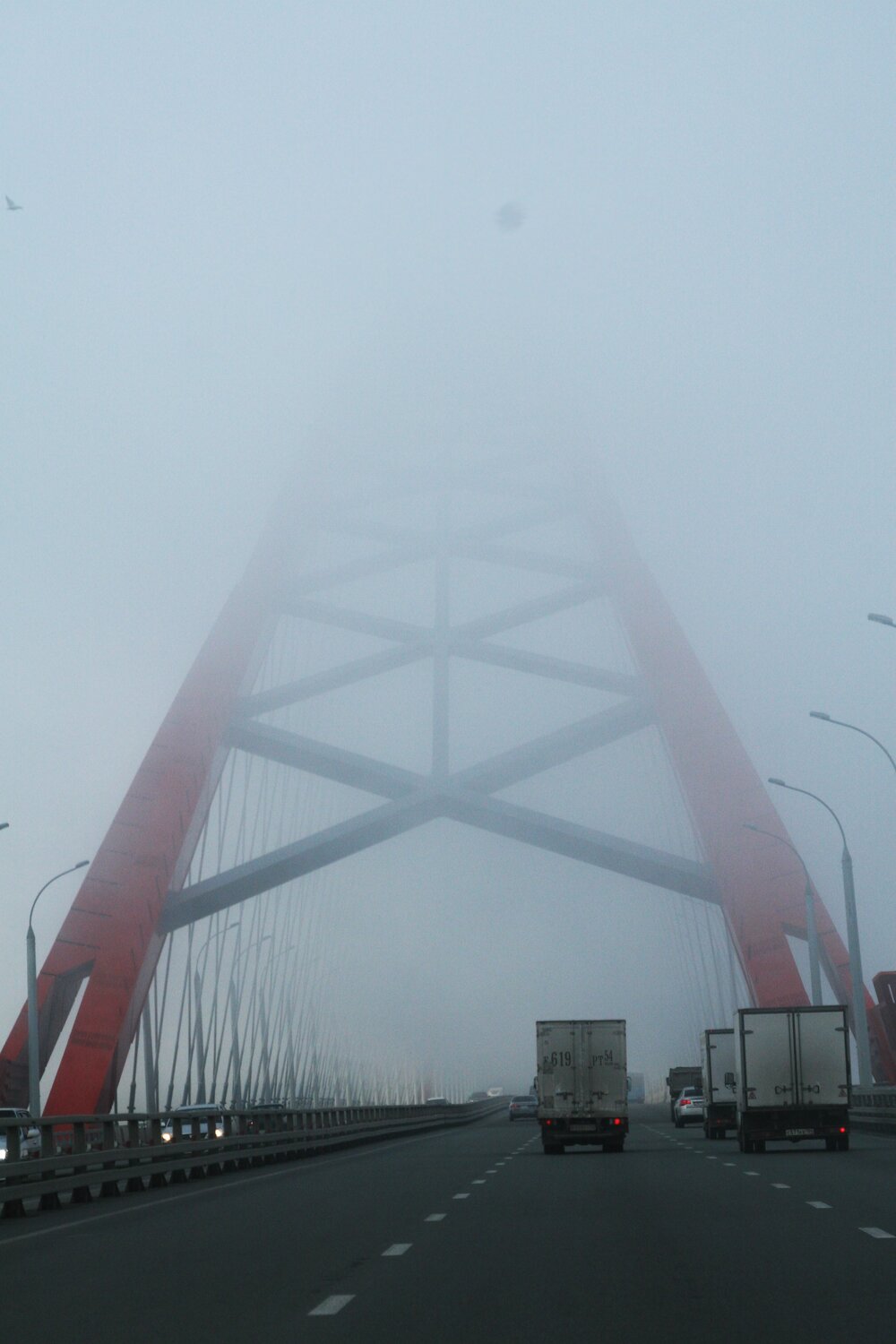 Photo #13392389