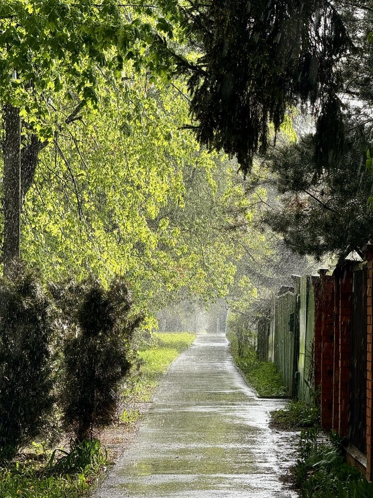 Photograph by Прокошева Екатерина