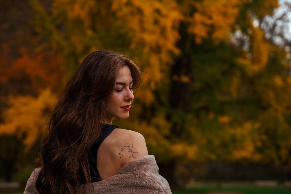 Walk in the Park