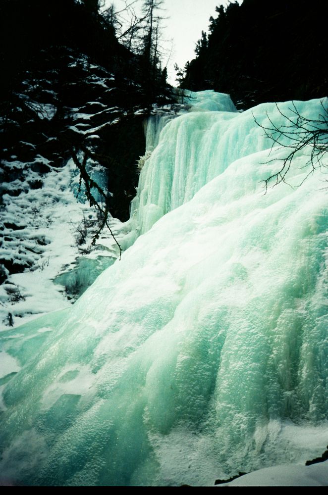 Photo #13392530
