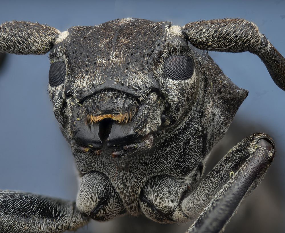 Photograph by Анастасия Подгрушная