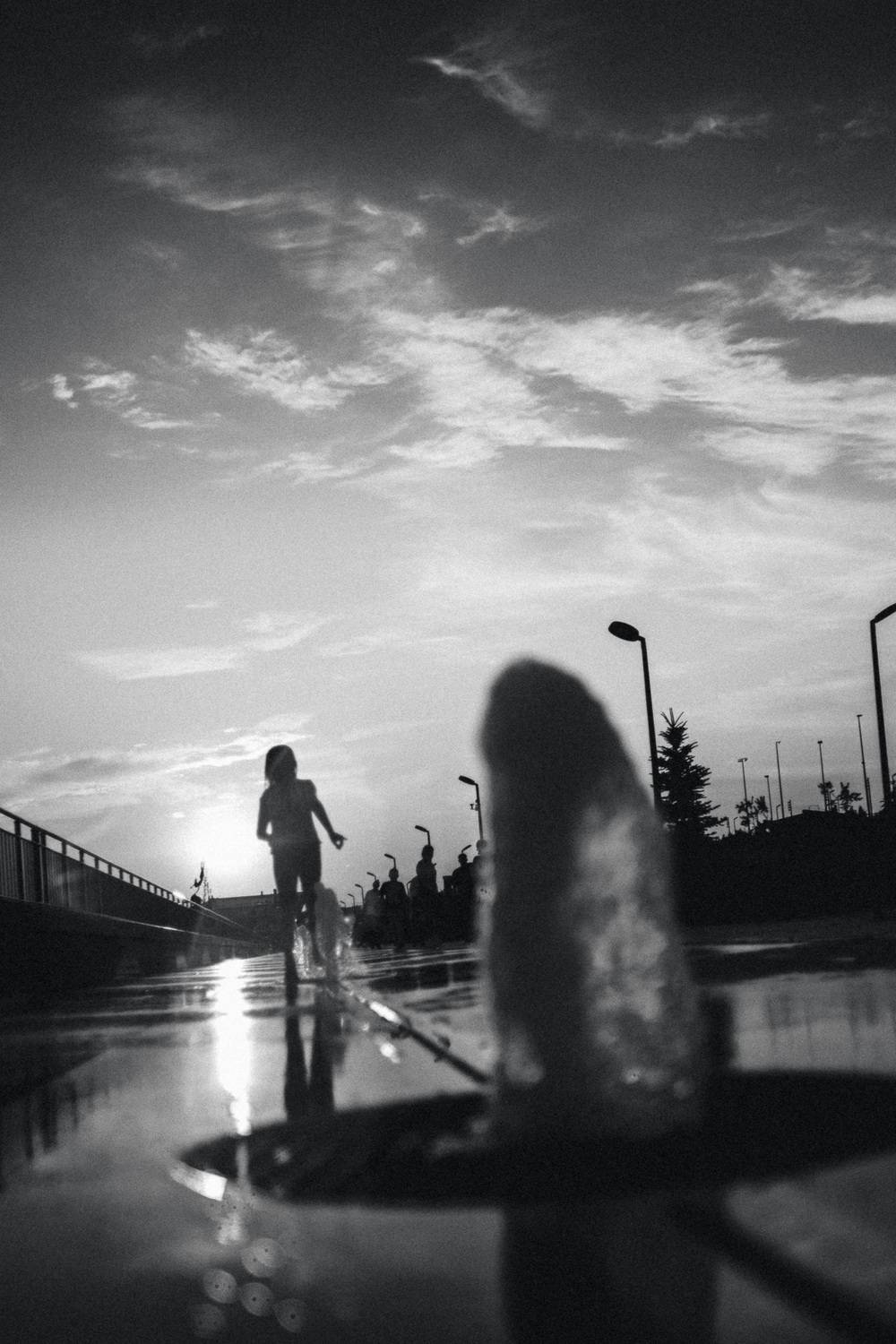 Photo #13392554