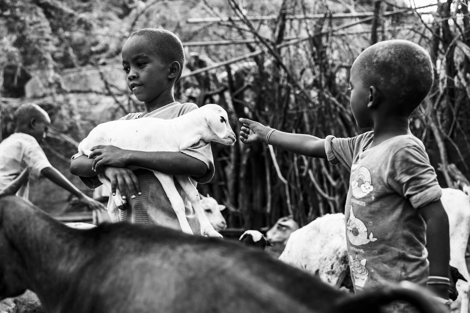 KENYA | Children and their little goats KENYA | Children and their little goats