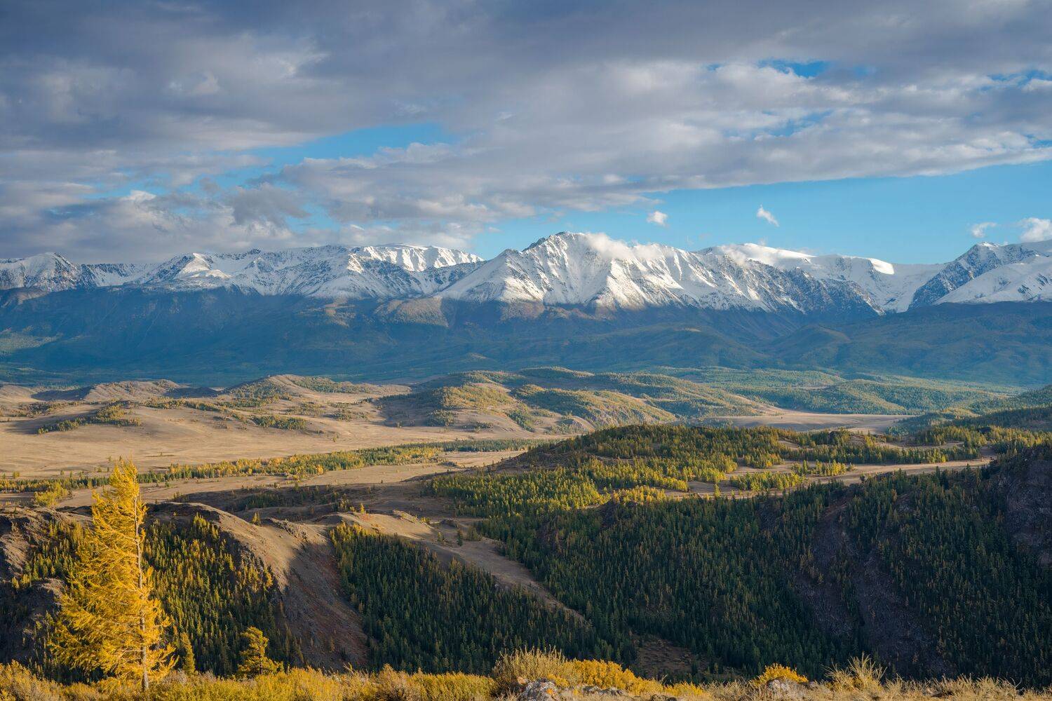 Фотография #13392585