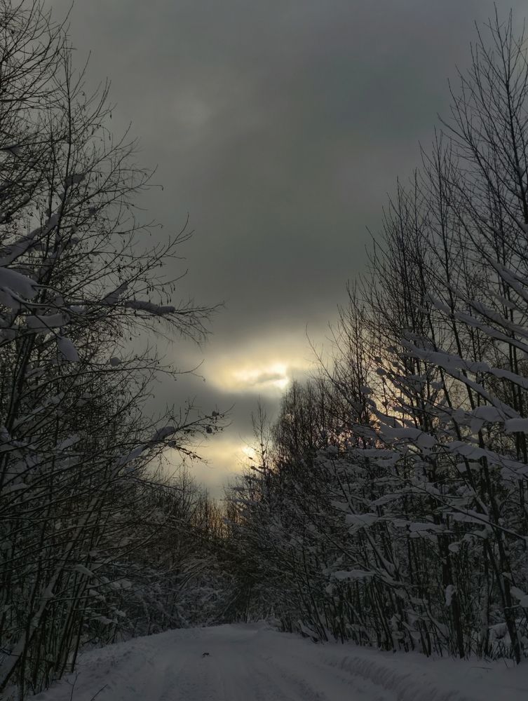 Photograph by Юлия Фомина