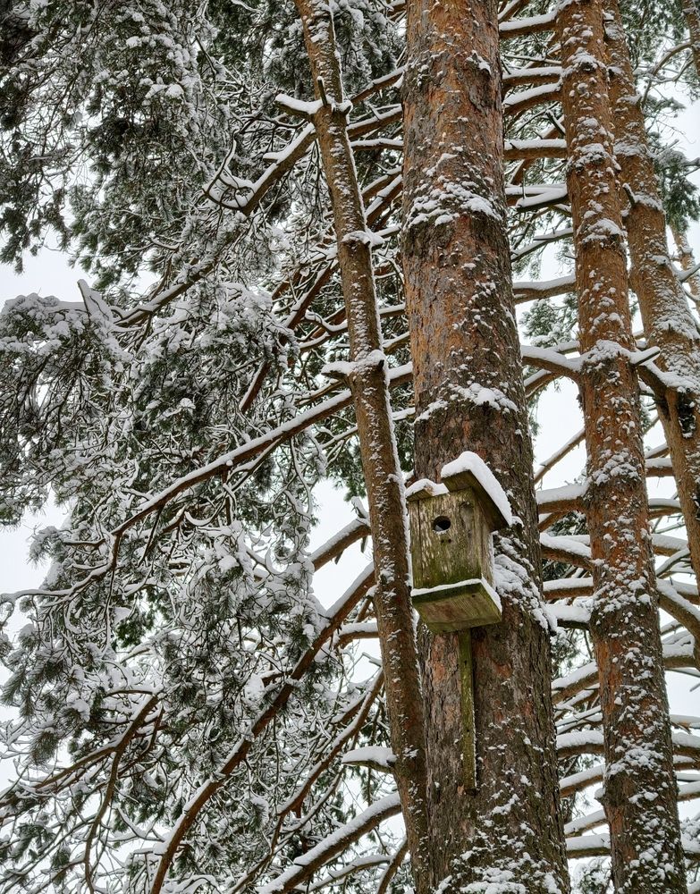 Photograph by Юлия Фомина