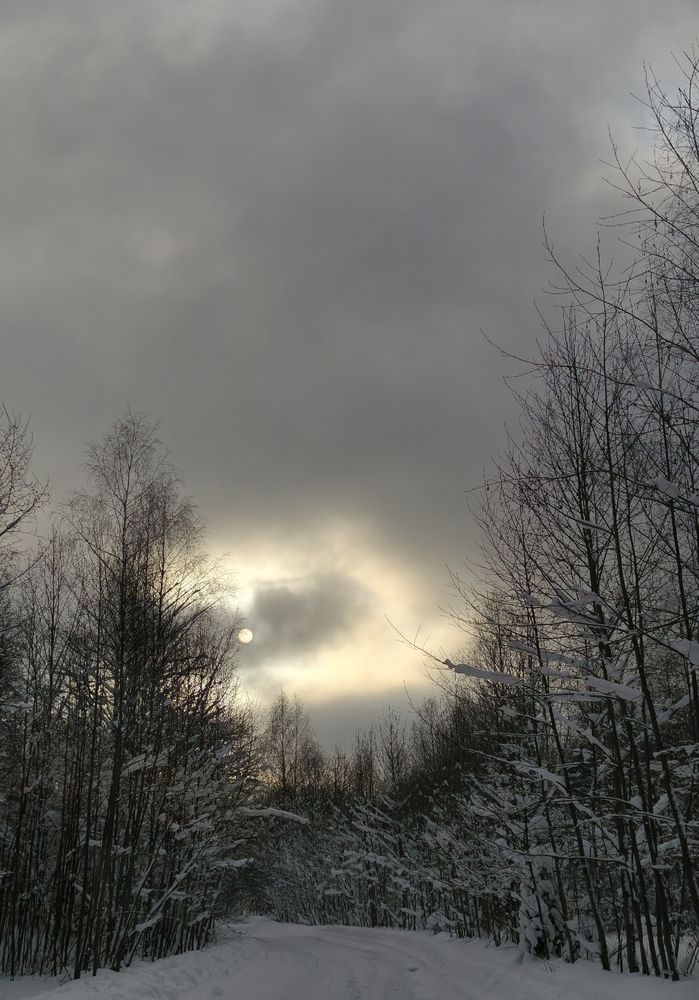Photograph by Юлия Фомина