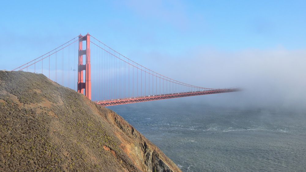 Vanishing into the Fog