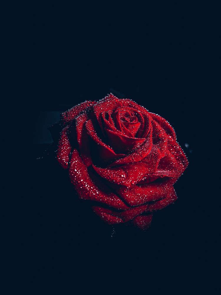 Photograph by Денис Турдиев