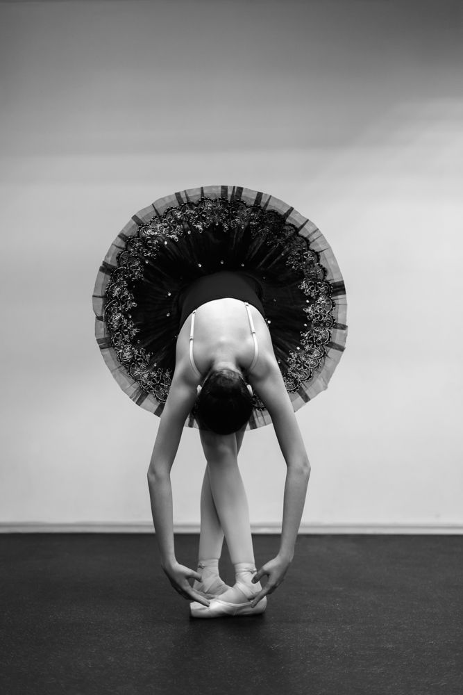Photo #13392634