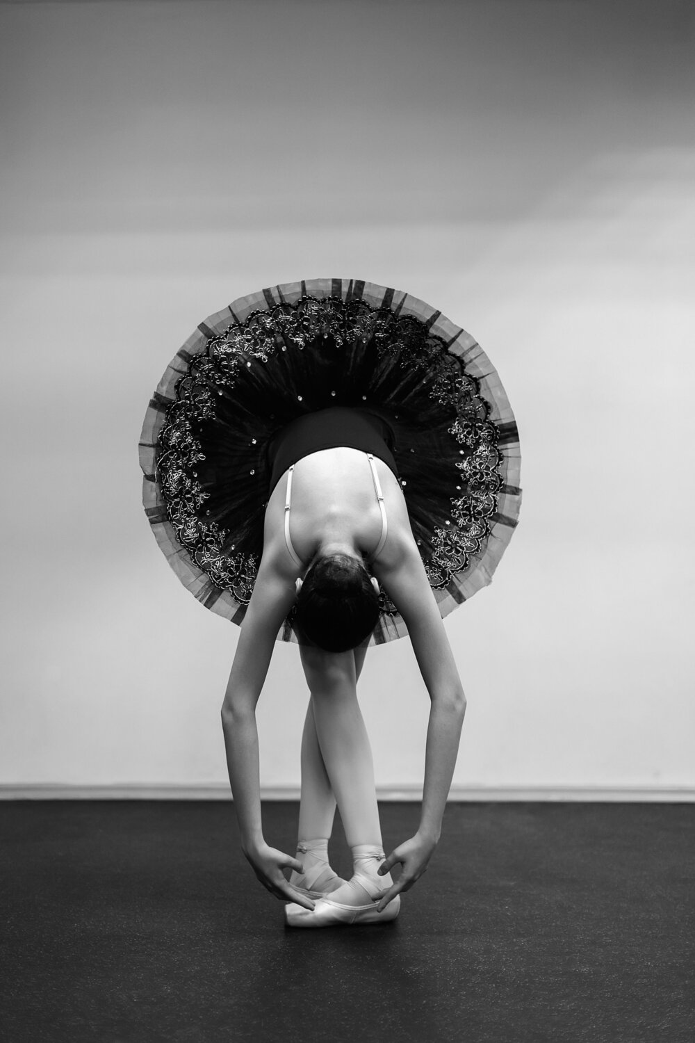 Photo #13392634
