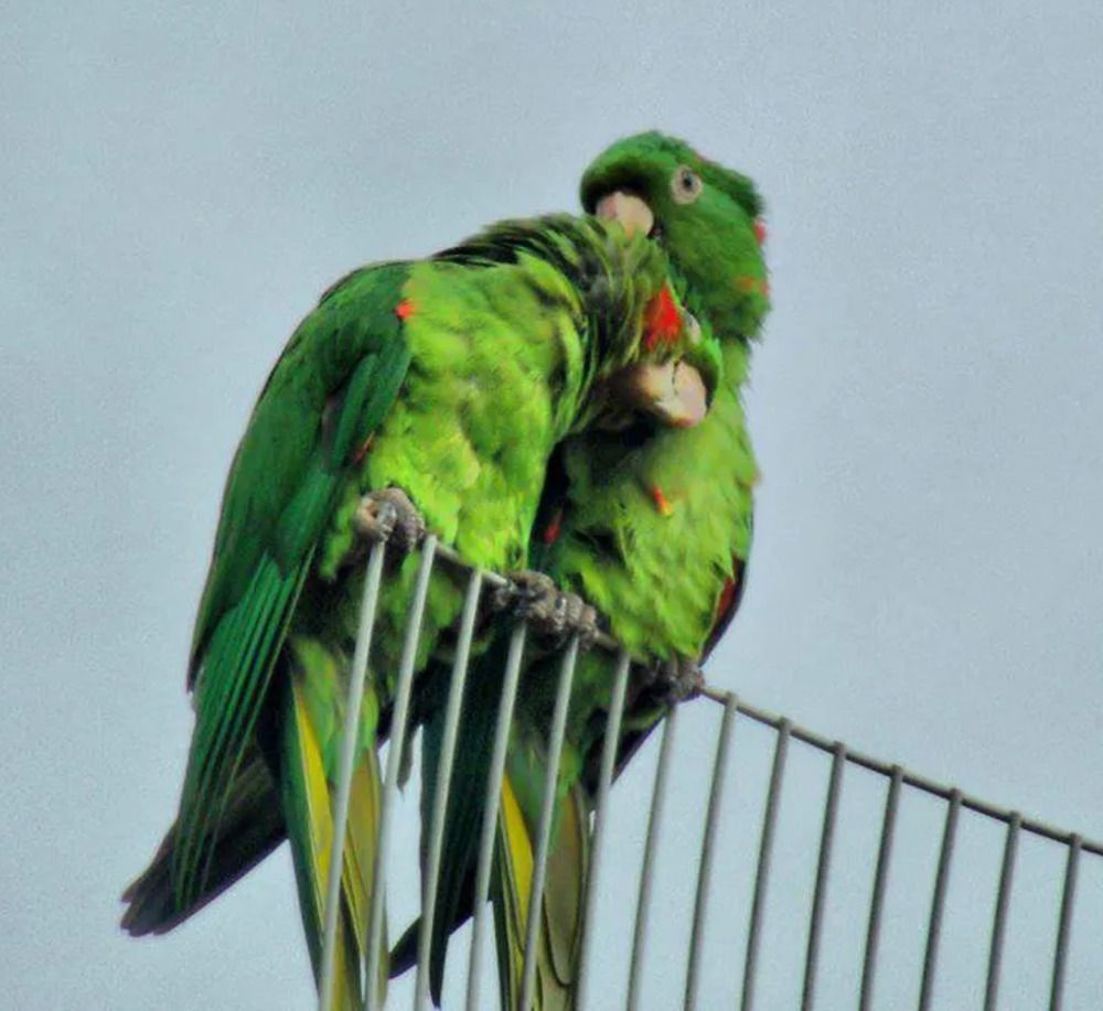 Photograph by Aryel Evelin Vieira Garcia