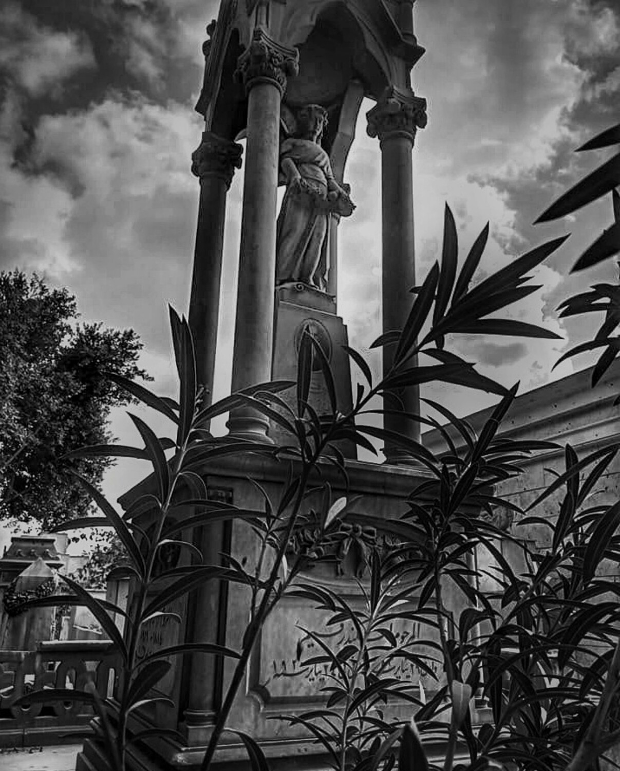 Фотография #13392700