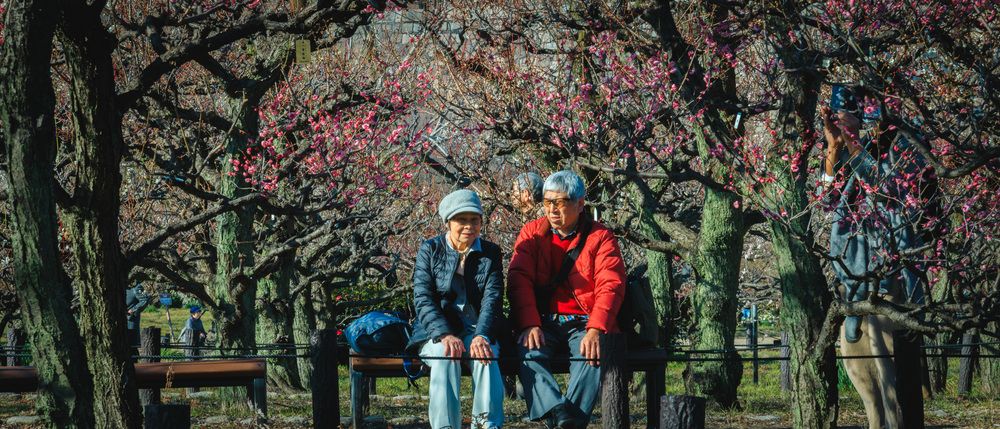 Фотография автора Leston Chu