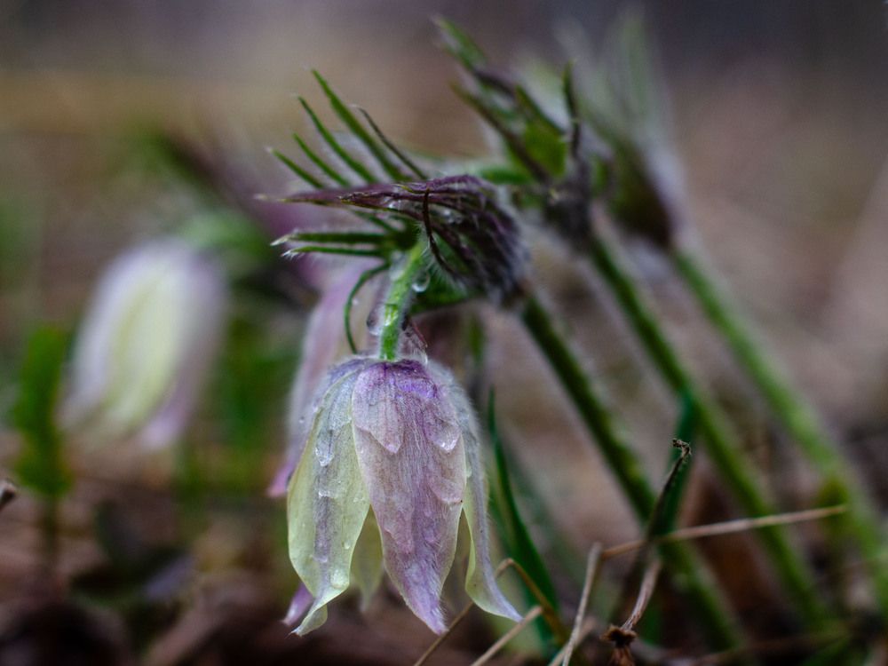Photograph by Светлана Кудянова