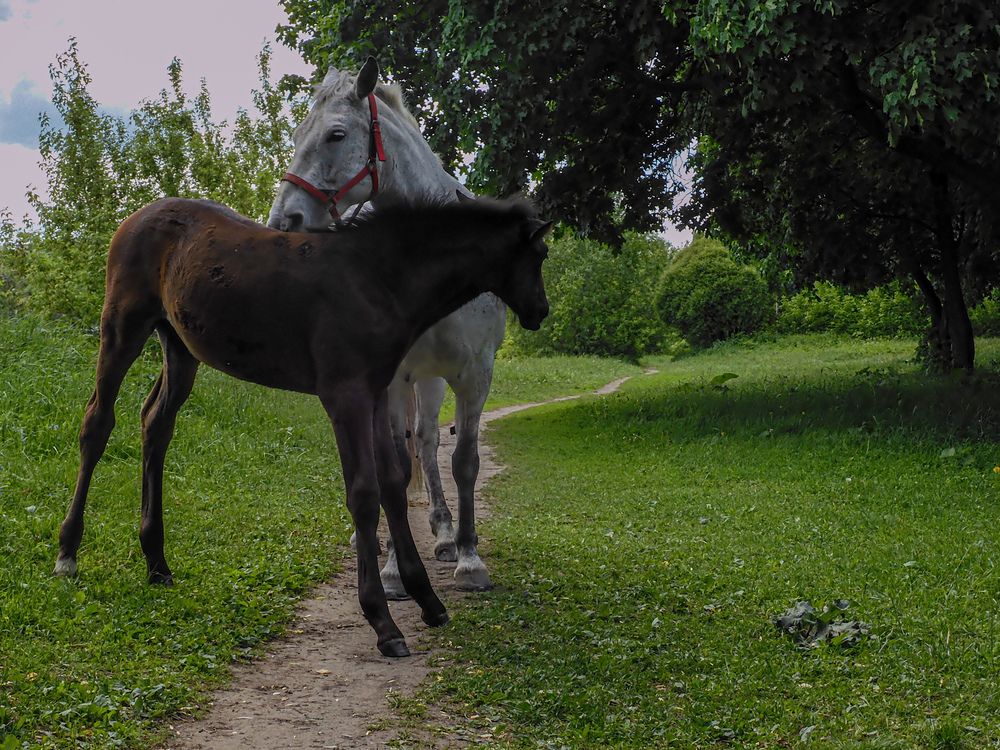 Photograph by Игорь Смирнов