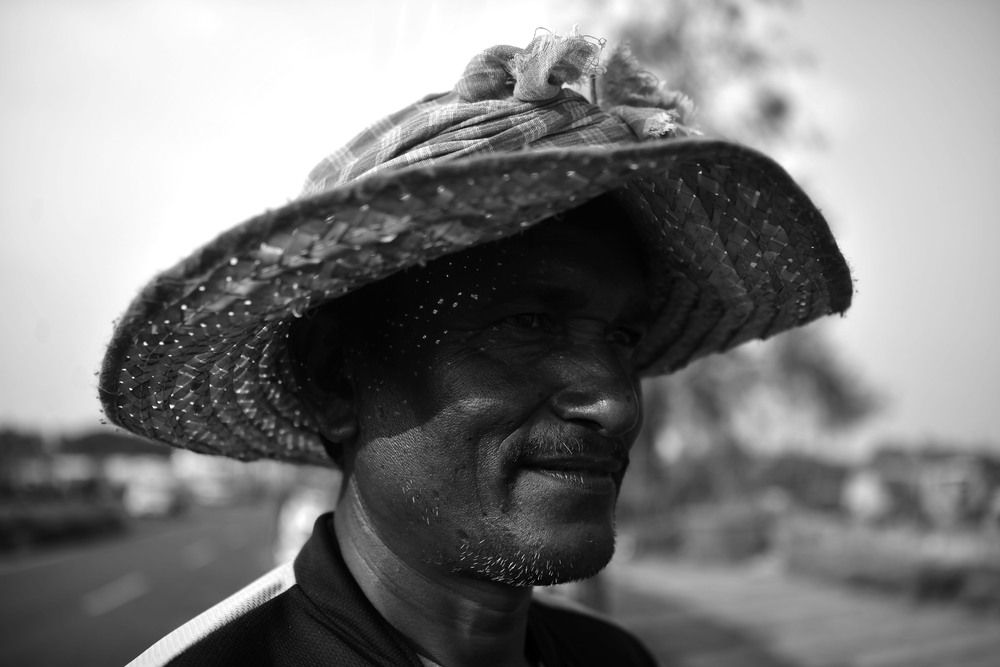 Life on the New Shore