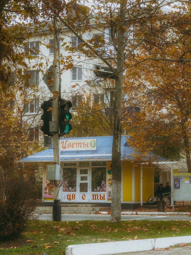 Photograph by Анна Голубцова